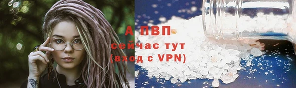 дурь Богданович