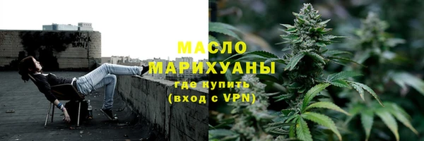 дмт Богородск