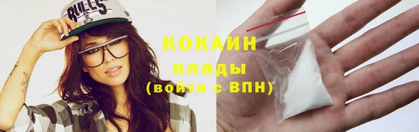 дмт Богородск
