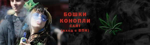 дмт Богородск